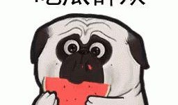 潮汕网红吃瓜事件,揭秘网络舆论背后的真相与争议