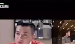 娱乐圈爆料陈思诚视频,娱乐圈背后的真相与争议