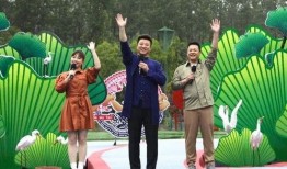 乐清网友爆料事件视频最新,真相与争议交织，网友热议不断